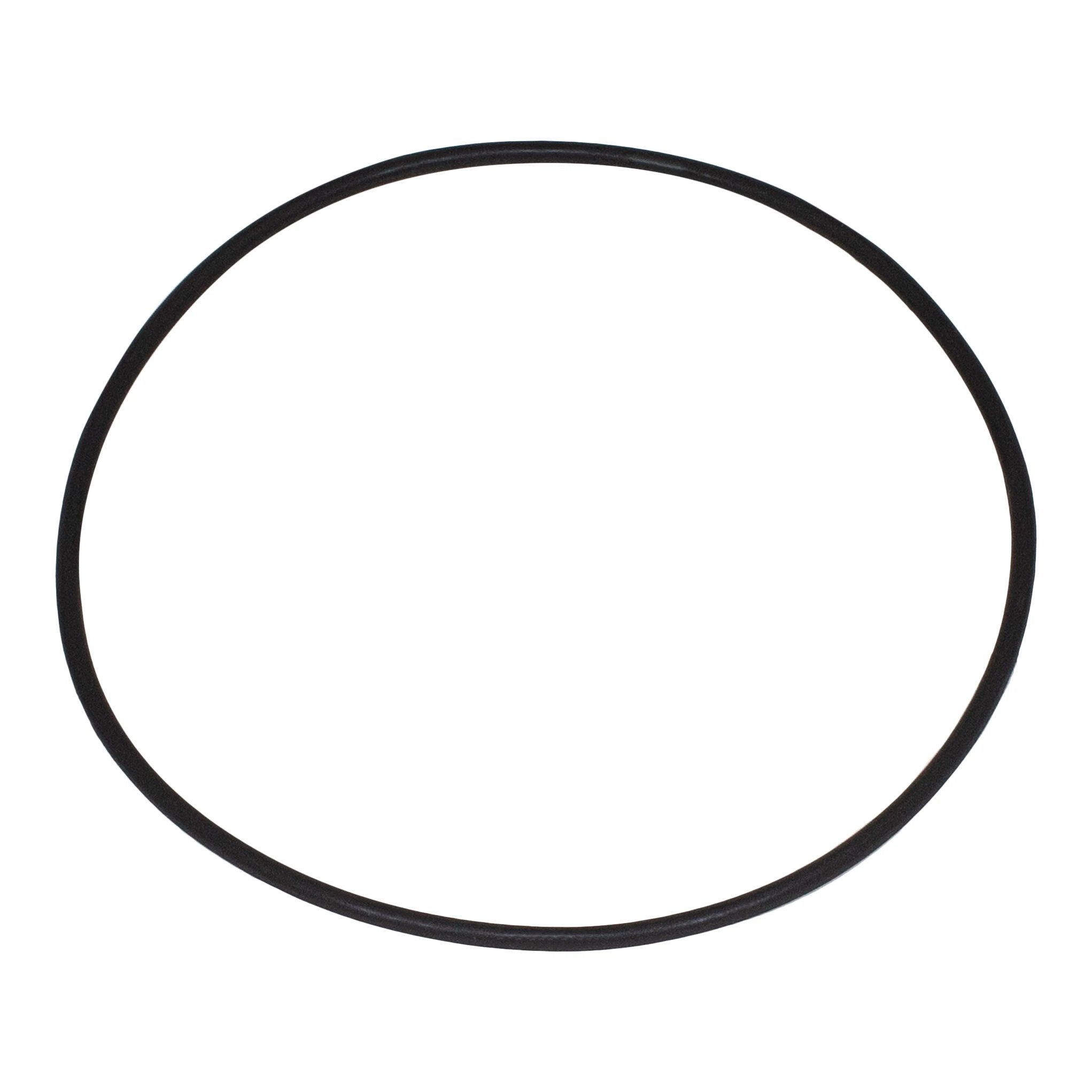 Frog Cap O Ring for King Tech Chlorine Cyclers and Feeders by Frog