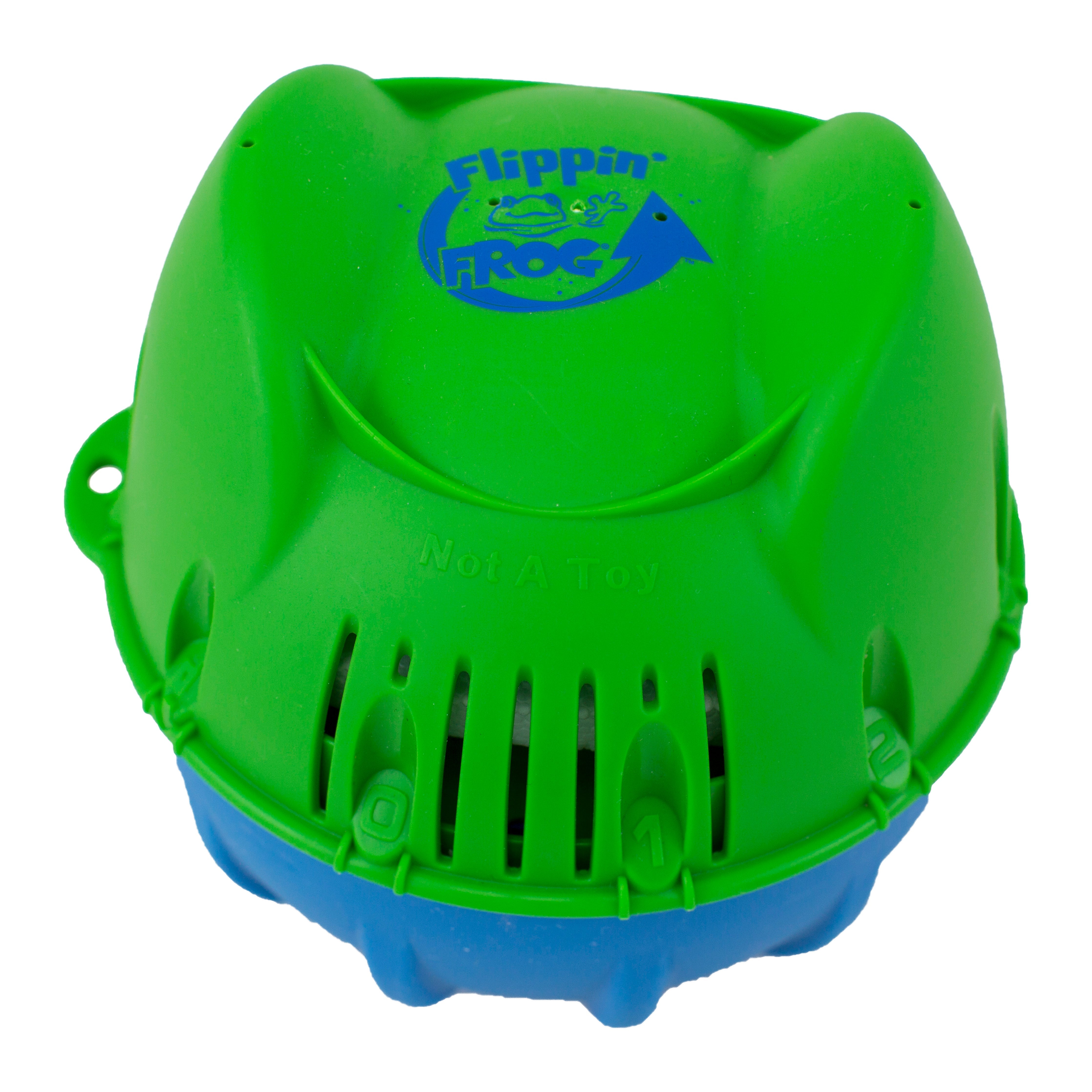 Flippin Amazing Pool Care Frog Small Pools 2000 to 5000
