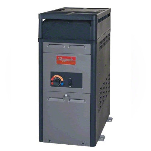 Raypak 105000 BTU Above Ground Pool Heater with Electronic Ignition
