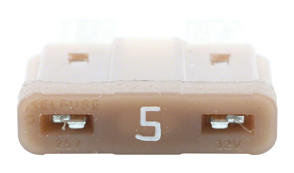 Raypak 5 Amp Replacement Fuse For 206A 266A 336A 406A