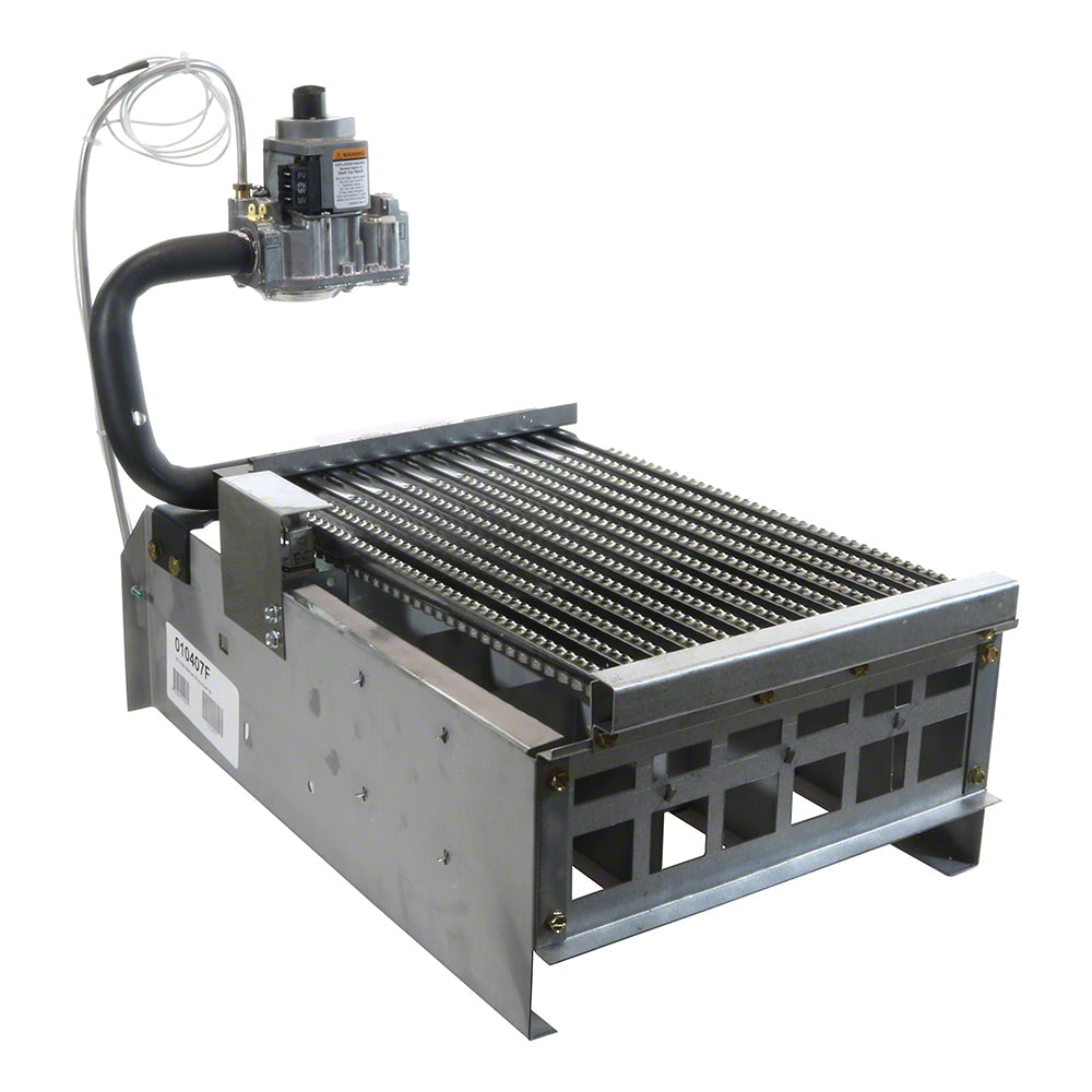 Raypak Burner Tray 206 With Valve Natural Gas IID Kit