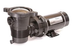 Pentair 347997 OptiFlo Vertical Discharge Aboveground Pool Pump with CSA and 25-Feet Cord, 1 HP