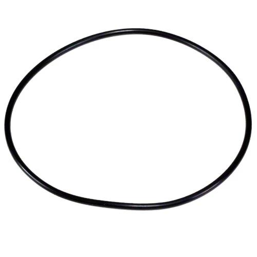 Pentair O-Ring 270116Z by Pentair