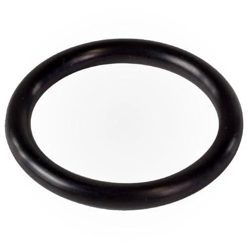 Pentair O-Ring 273090 by Pentair
