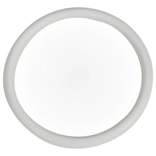 Pentair O-Ring 274495Z by Pentair