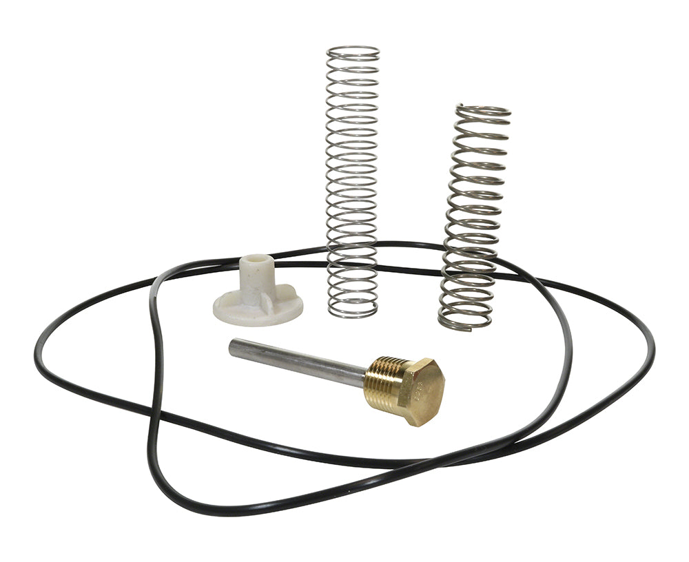 Raypak Bypass Valve Kit With Spring For 105A 406A Heaters