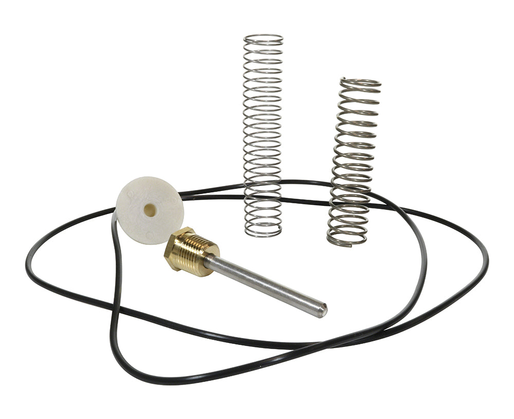 Raypak Bypass Valve Kit With Spring For 105A 406A Heaters