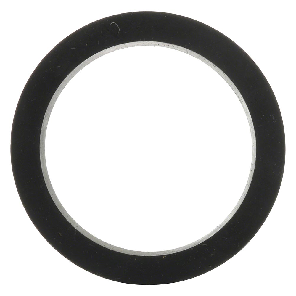 Raypak 2 Inch Header Flange Gasket Replacement Pack
