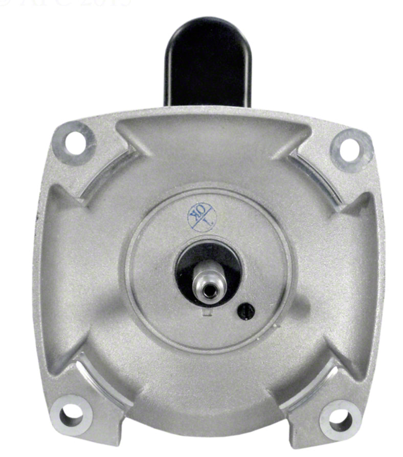 Regal Beloit Century 3 HP Pool Pump Motor 230V Single Phase