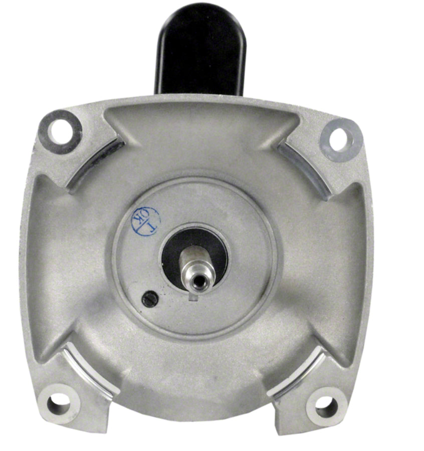 Regal Century 2 HP Two Speed 230 Volt Pump Motor 48Y Frame
