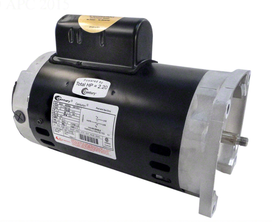 Regal Century 2 HP Two Speed 230 Volt Pump Motor 48Y Frame