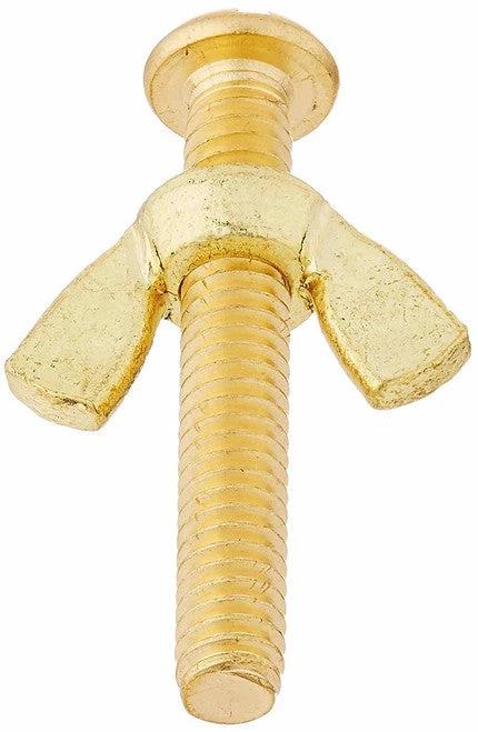 Brass Wing Nut and Bolt For Safety-Life Hook - R221156 by Duckies Pool Supply