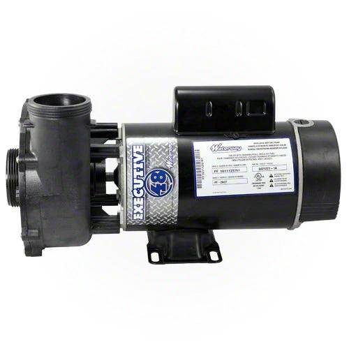 Waterway Executive 3 HP 2 Speed 48 Frame 230 Volt Pump 3421221-1A by Waterway
