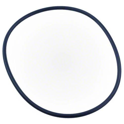 Pentair XF Series Pump Seal Plate O-Ring 351446Z by Pentair