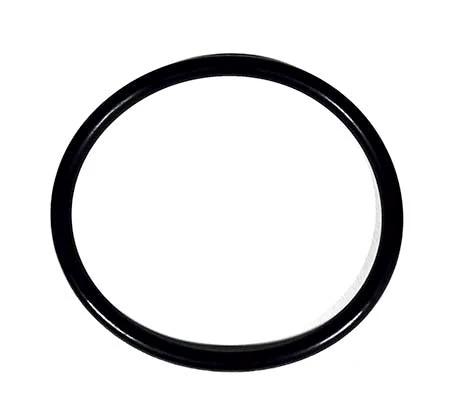 Pentair O-Ring 35505-1425Z by Pentair