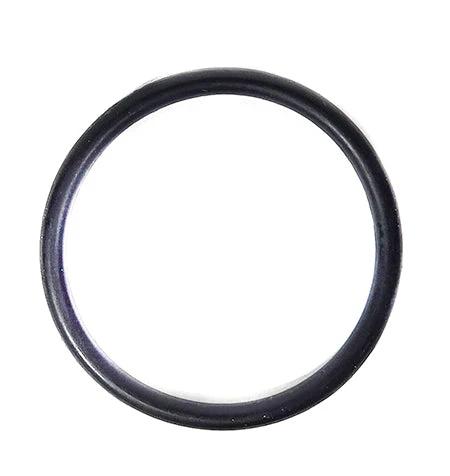 Sta-Rite O-Ring 35505-1429Z by Pentair