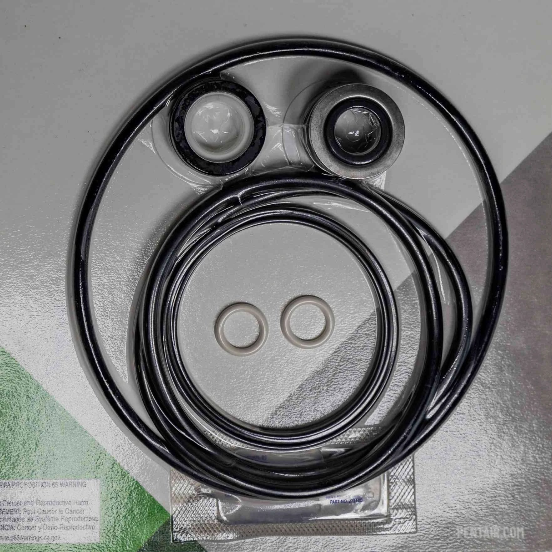 Pentair Pump Seal Quick Kit 356197 by Pentair