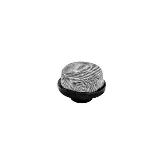 Pentair - Strainer, Air Relief, for 1/4in. OD Tubing by Pentair
