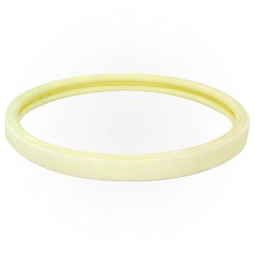 Pentair IntelliBrite 5g Light Lens and Gasket 619864Z by Pentair