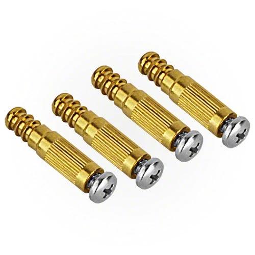 AquaStar Brass Anchor Kit by AquaStar