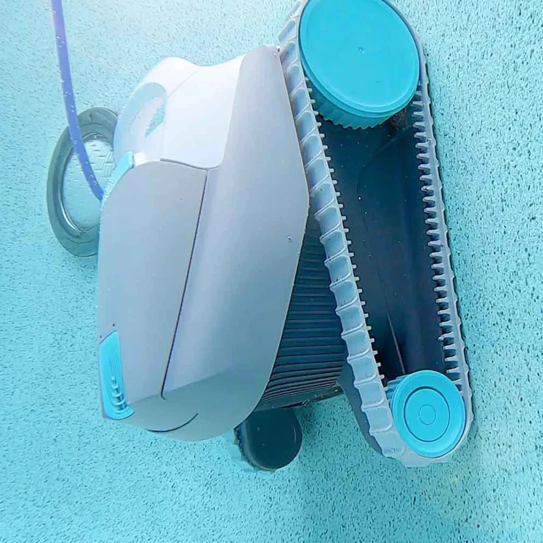 Dolphin Active 15 by Duckies Pool Supply