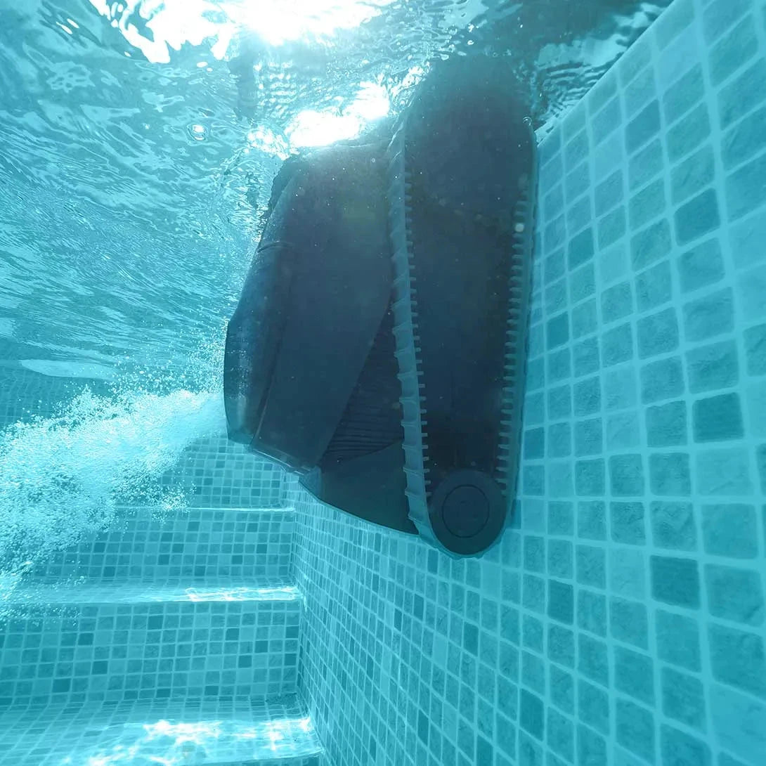 Dolphin LIBERTY 300 by Duckies Pool Supply