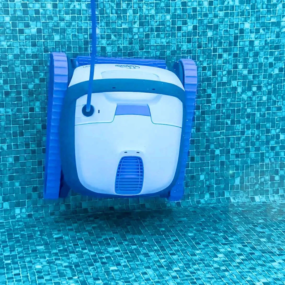 Dolphin S100 by Duckies Pool Supply