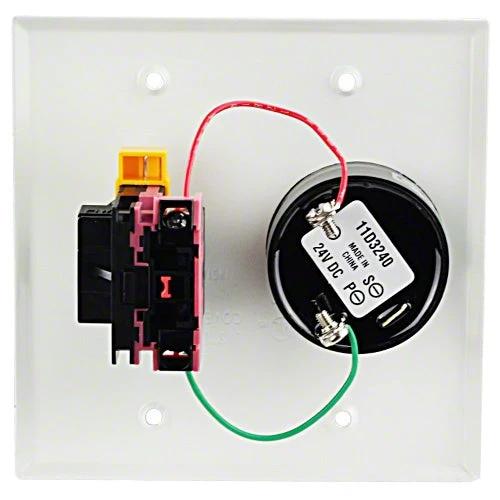 Pentair Shut-Off Switch with Alarm ESO2 by Pentair