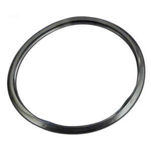 Hayward Star-Clear Filter Gasket | CX250F by Hayward
