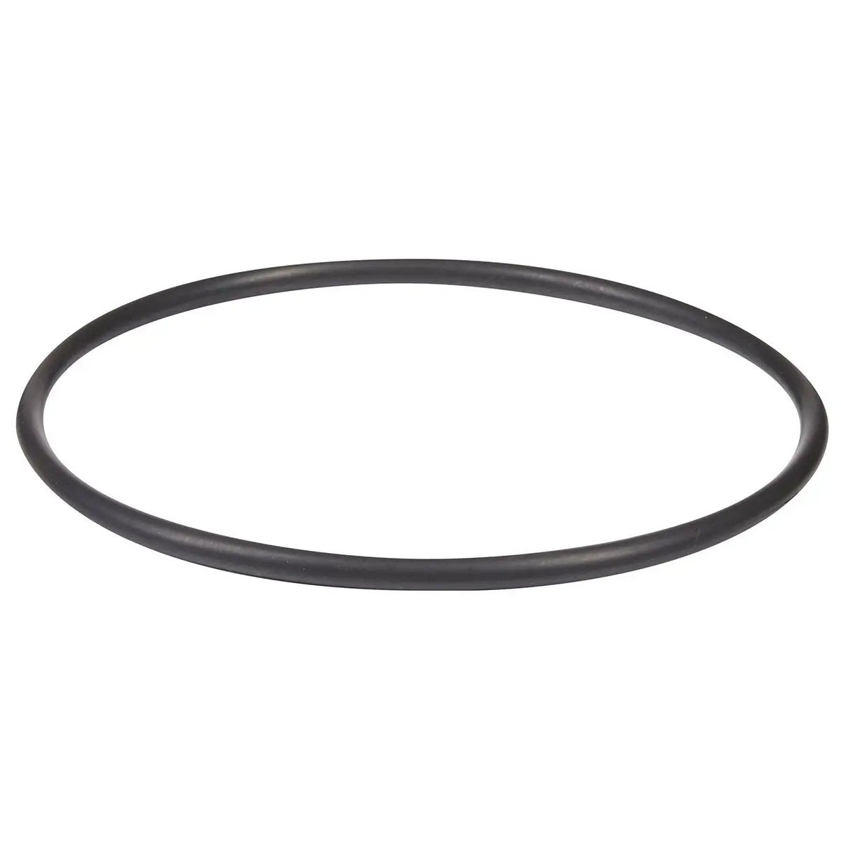 Hayward Salt Cell O-Ring | GLX-DIY-ORING by Hayward