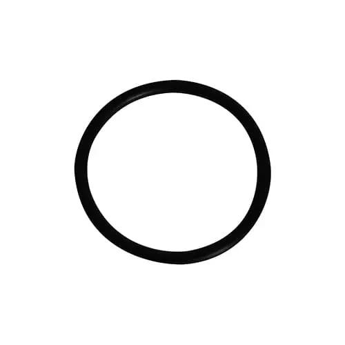Hayward SP1022C Plug O-Ring | SPX1022CZ2 by Hayward