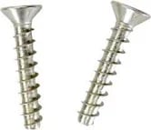 Hayward Main Drain Screw Set | SPX1030Z1A by Hayward