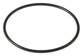 Hayward Housing O-Ring Gasket | SPX1705Z1 by Hayward