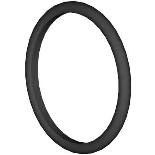 Hayward Strainer O-Ring | SPX5500K by Hayward