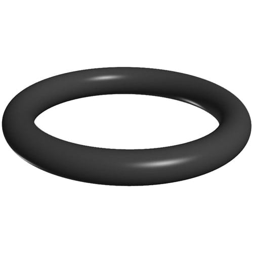 Hayward Filter O-Ring | SX200Z5 by Hayward