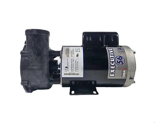 Waterway Executive 4 HP 2 Speed 2" Intake 2" Discharge 56 Frame 230 Volt Pump ME-40226-20 by Waterway