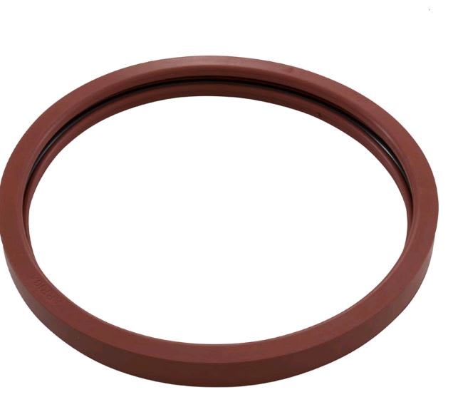 Pentair Kit Gasket Lens Silicone 5G Pool | 620400Z by Pentair
