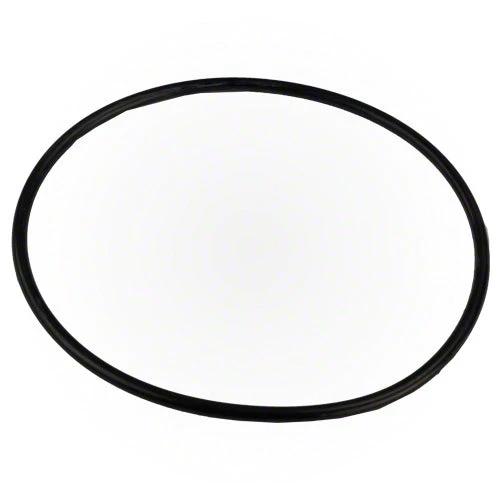 Pentair O-Ring R172223 by Pentair