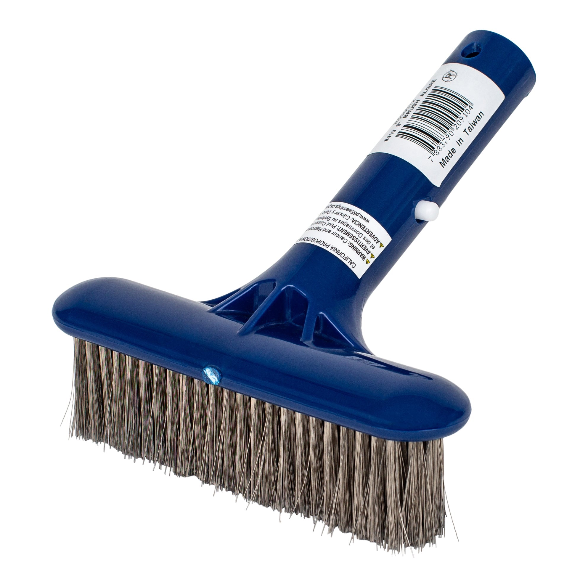 Pentair 6 Inch Plastic Algae Brush with Stainless Steel Bristles for Swimming Pool Cleaning