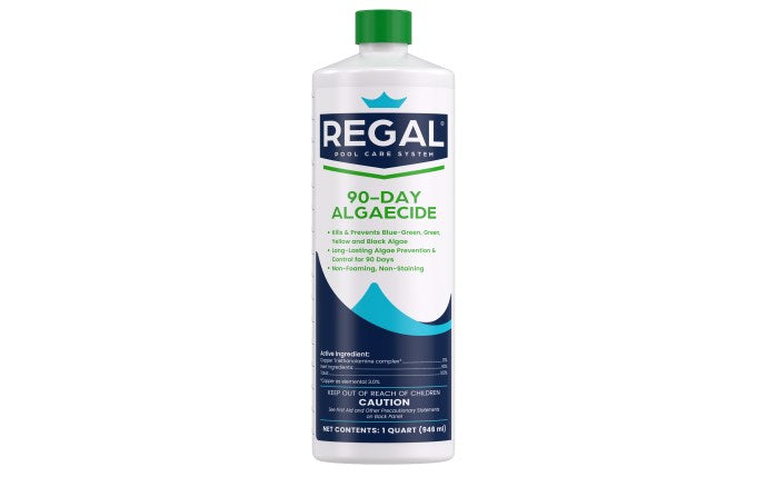 Regal 90 Day Algaecide For Pools Non Foaming And Green Algae