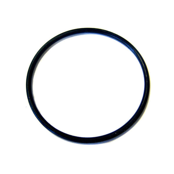 AXW542 W530 and W560 Hayward® Canister O-Ring O-330