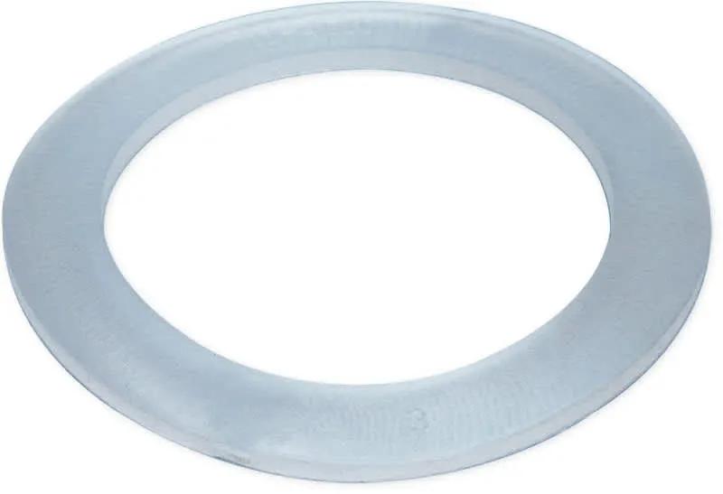 Waterway 2" Union Gasket | 711-4010 by Waterway