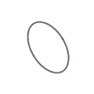 Waterway O-Ring For Hi-Flo Pump | 805-0256 by Waterway