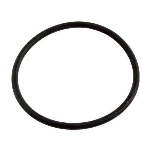 Pentair 355330 Strainer Flange O-Ring - Duckies Pool Supply