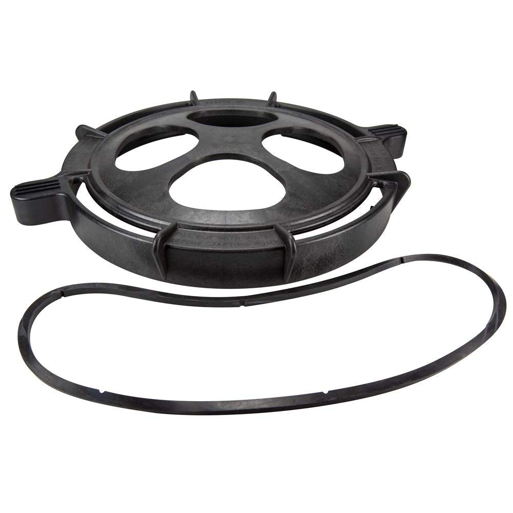 Pentair 350166 EQ Series Strainer Lid Gasket 1"