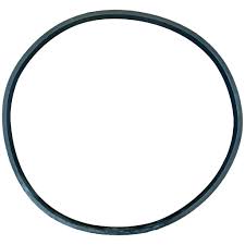Pentair 355329Z Challenger Housing Square 0-Ring - Duckies Pool Supply