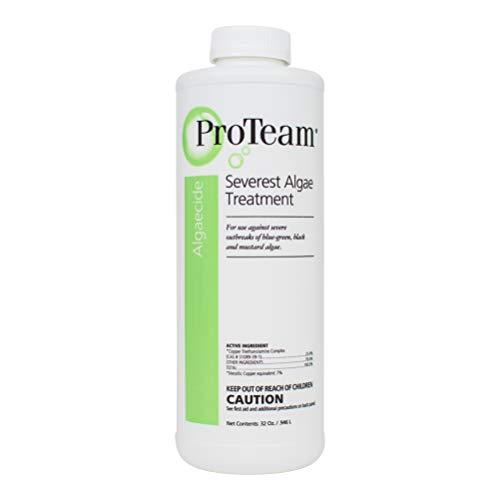 Proteam Severest Algae Treatment (1 Qt) for Pools - Duckies Pool Supply