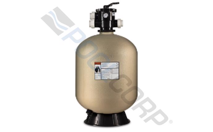 Pentair 19" Sand Dollar® Top Mount Filter EC-145320