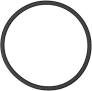Pentair Rainbow 300/320 Lid O-Ring R172009Z