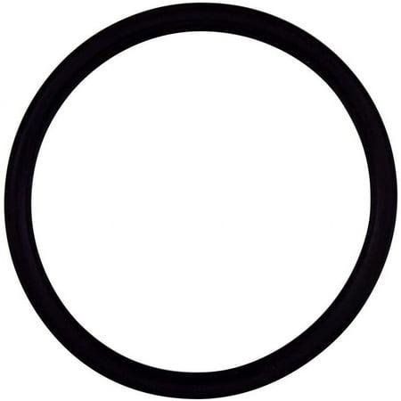 Pentair 355030Z O-Ring